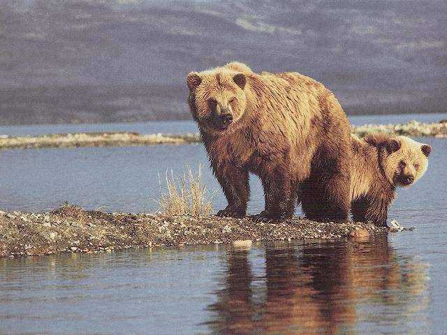 следующая -->